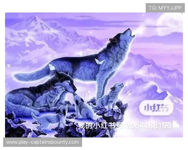 最后15秒三记三分,二师附中演绎“狼崽精神”逆转 最后15秒三记三分,二师附中演绎“狼崽精神”逆转